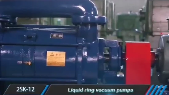 Custom 2sk Stainless Steel Oil Circulating Water Liquid Ring Vacuum Pump for Industrial Boilers